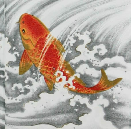 楽天市場】【浮世絵のれん】鯉の滝登り【幅85cm×長さ150cm】昇り鯉