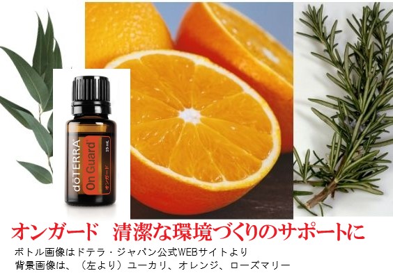 楽天市場】ドテラ アスリートキット ディープブルーラブ