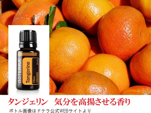 楽天市場】ドテラ アロマオイル タンジェリン 柑橘系オイルの中でも
