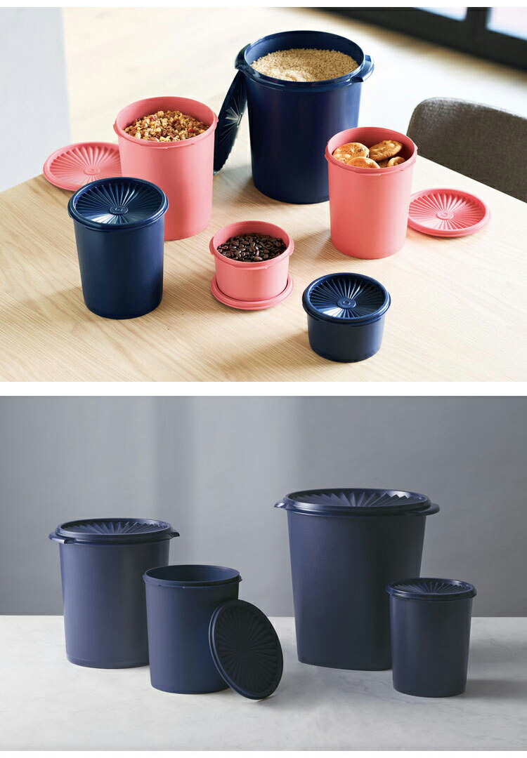 楽天市場】タッパーウェア マキシデコレーター 密封 密封 保存容器