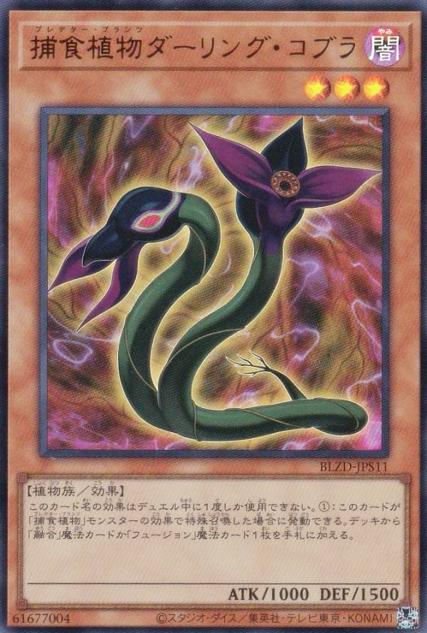 楽天市場】捕食植物 デッキの通販