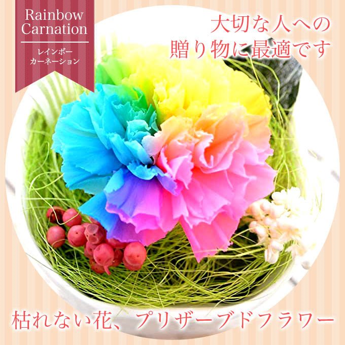 楽天市場】プリザーブドフラワー レインボー カーネーション