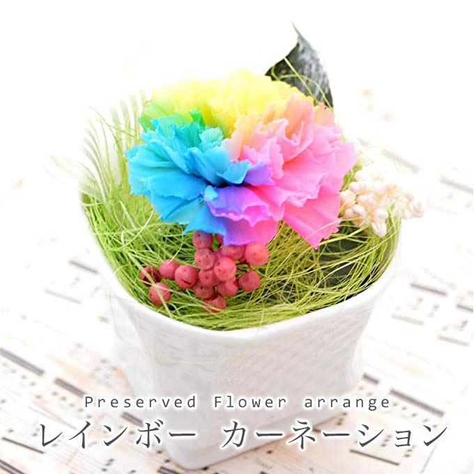 楽天市場】プリザーブドフラワー レインボー カーネーション