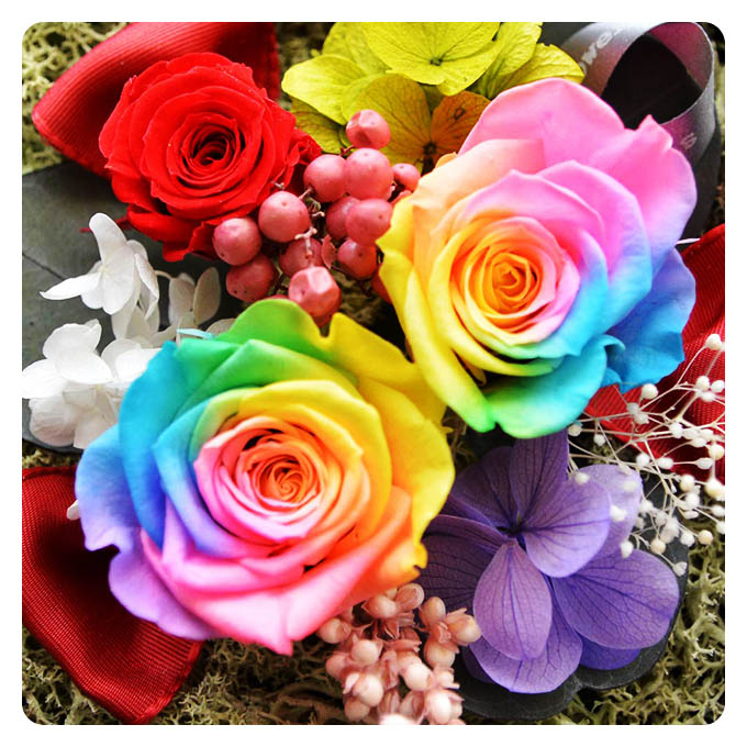 楽天市場】送料無料 本物！プリザーブドフラワー レインボーローズ