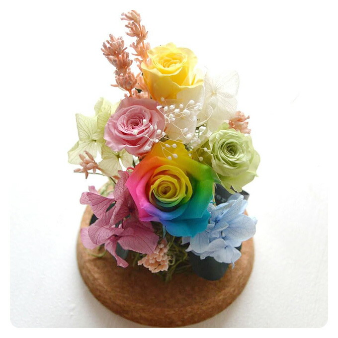 楽天市場】プリザーブドフラワー レインボー ガラスドーム 1個 花