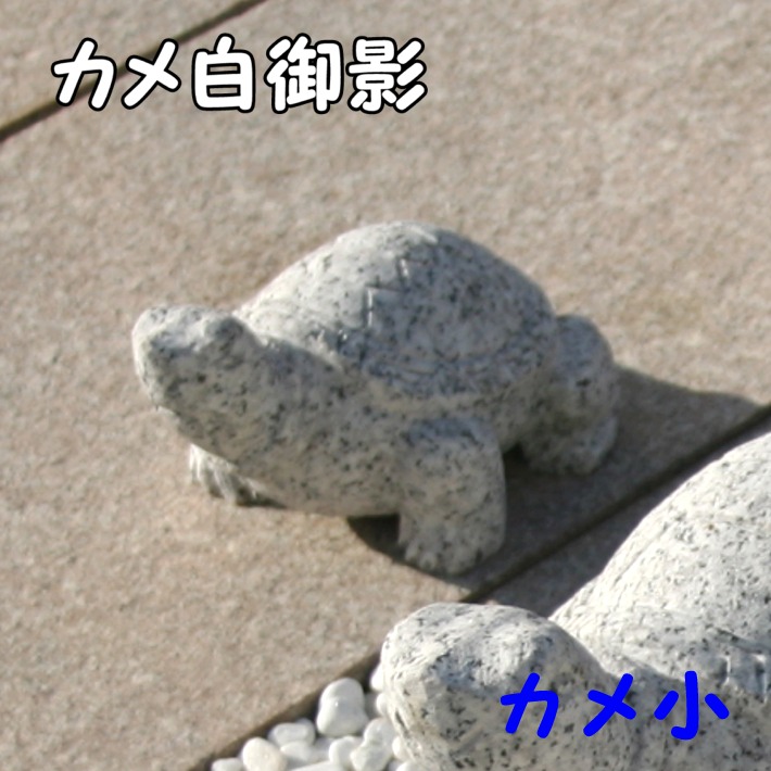 楽天市場】御影石 カメ(小)かめ 亀 置物 置き物 玄関 エントランス 庭