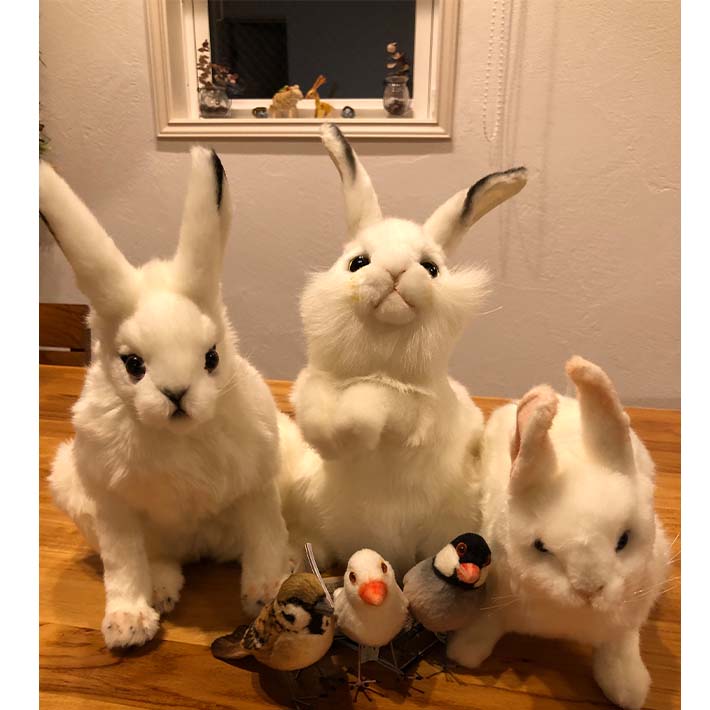 楽天市場】【マラソン期間P10倍+5%offクーポン】HANSA リアル ウサギ 3