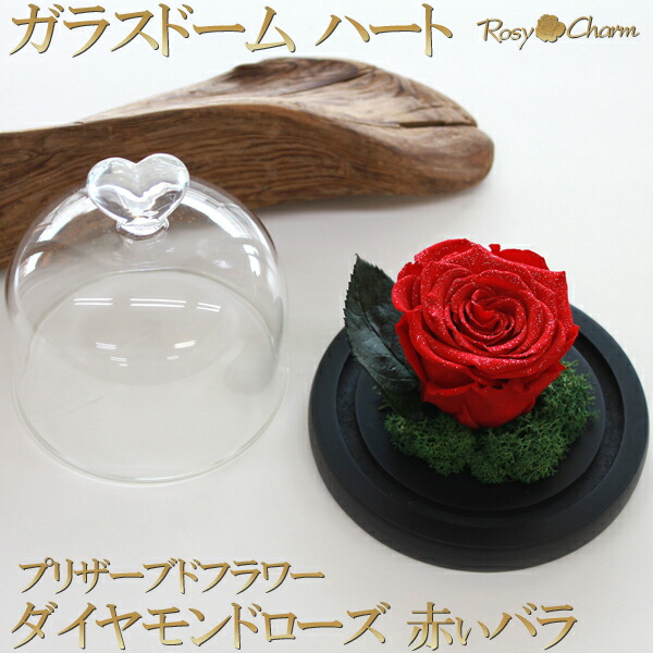 楽天市場】ガラスドーム ハート ダイヤモンドローズ プリザーブド