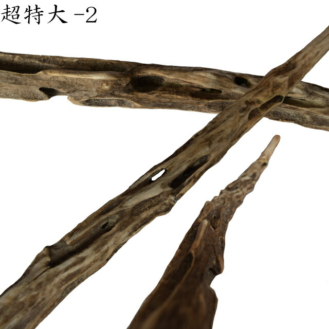 楽天市場】大型 流木/特大 流木 超特大 置物 玄関 木 インテリア 店舗