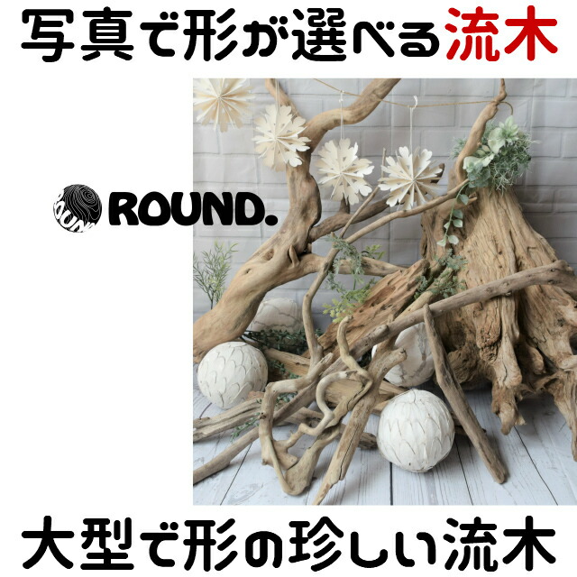 楽天市場】変形 レア 流木/大型 特大 流木 置物 玄関 木 インテリア