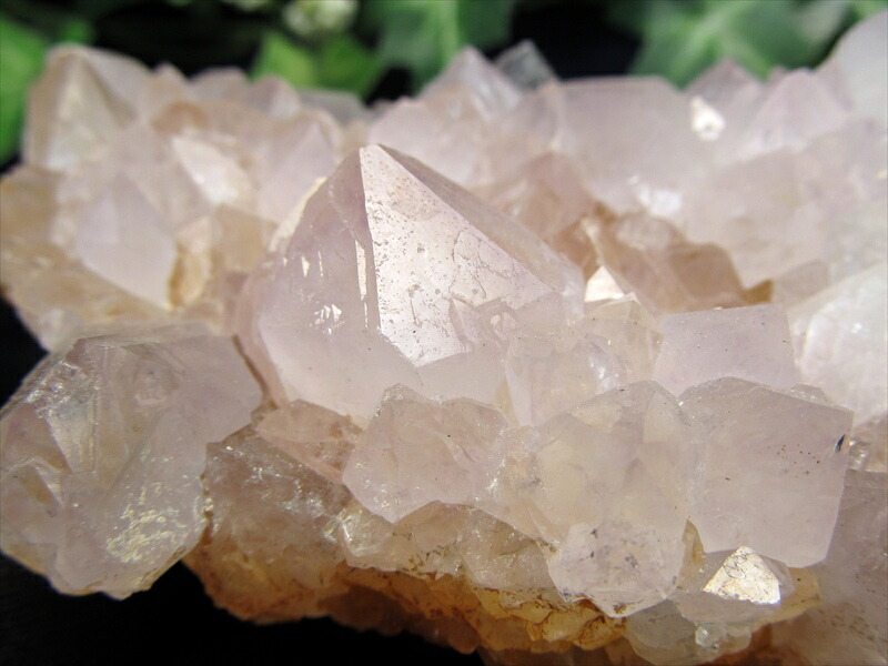 楽天市場】カクタス 水晶の通販