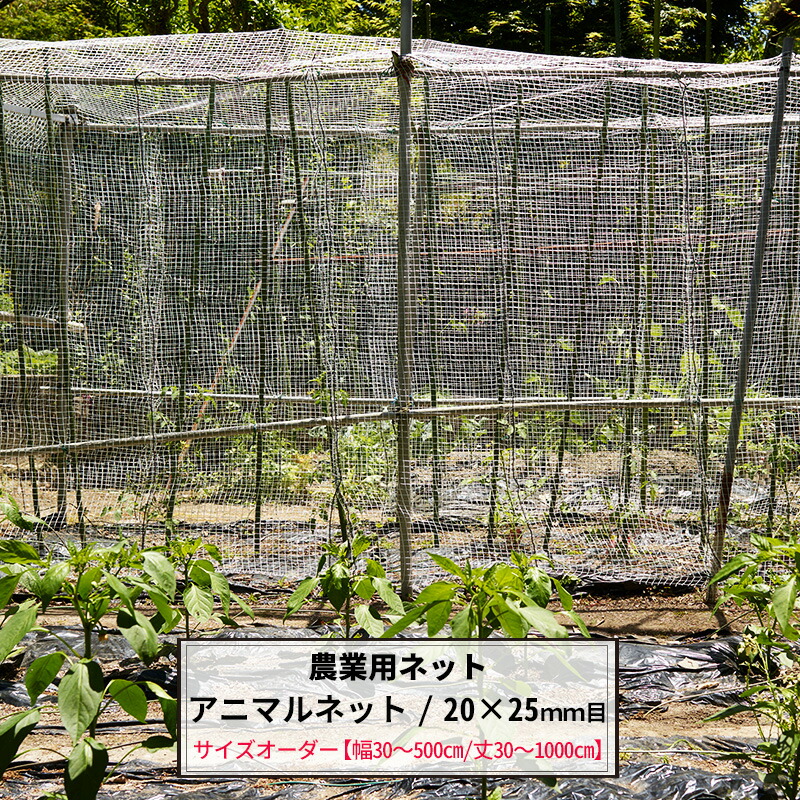 楽天市場】農業用ネット アニマルネット 20×25mm目 サイズオーダー