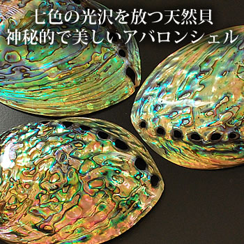 楽天市場】アバロンシェル(アワビ貝) アバロ二シェル レインボーカラー