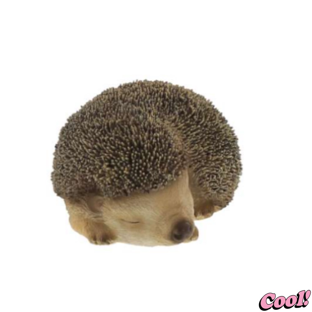 楽天市場】ハリネズミ 置き物 アニマル ベニーズ「 おやすみ 」 約9×13