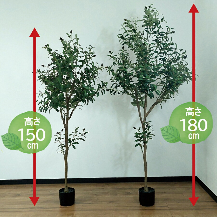 楽天市場】【クーポン配布中】 人工観葉植物 高さ180cm オリーブ 大型