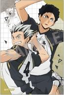 楽天市場】赤葦京治 木兎光太郎の通販