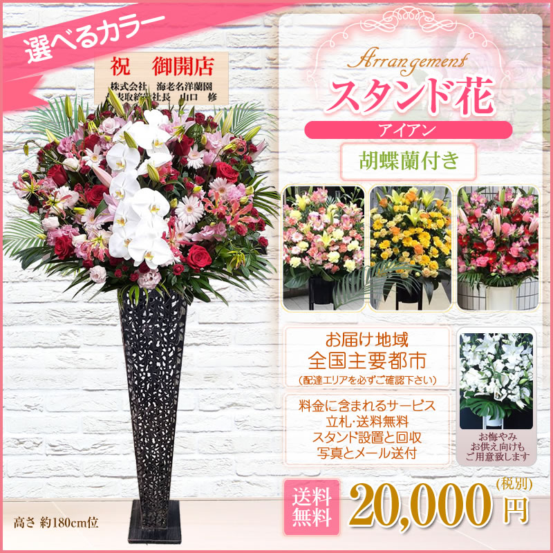 楽天市場】【スタンド花 アイアン 胡蝶蘭付き】開店祝い 花 花色は