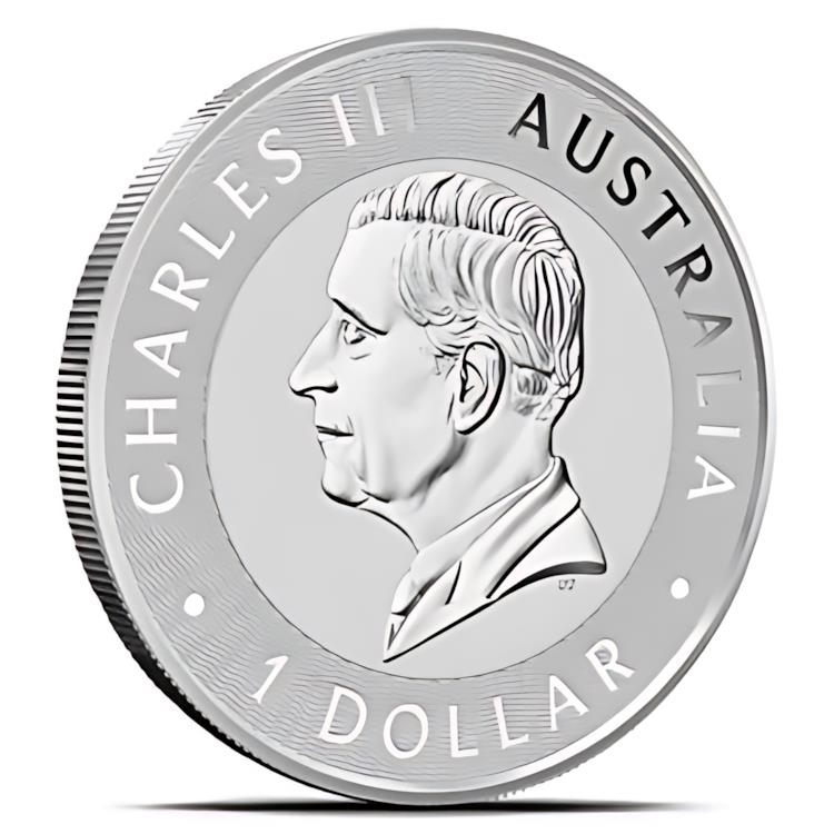 楽天市場】2024 1 オンス オーストラリア カンガルー銀貨 (BU) : 世界