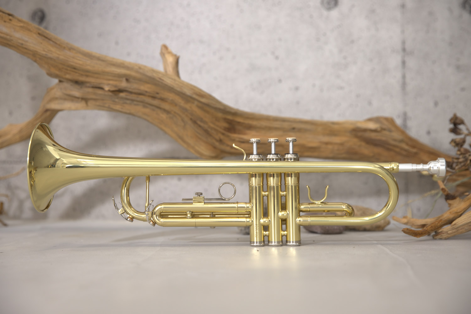 楽天市場】【 ♪動画有り 】トランペット 初心者 セット Soleil STR