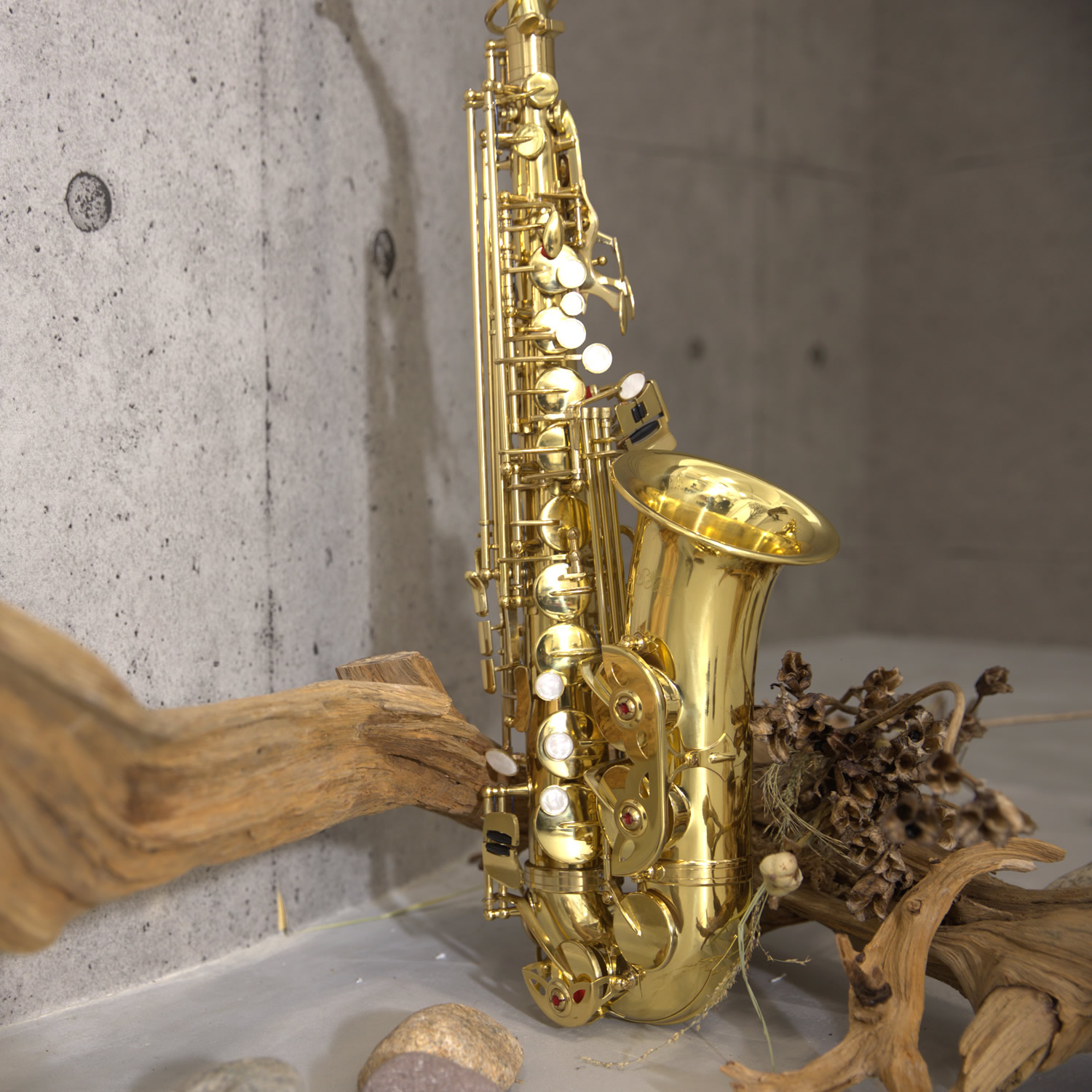 楽天市場】【 ♪動画有り 】アルトサックス 初心者 セット Soleil SAL