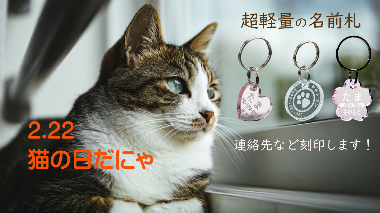 楽天市場 | あわいち＠徳島（名入れ ギフト） - ♡2.22猫の日♡ドラ