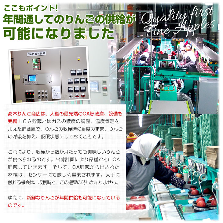 楽天市場】青森県より産地直送 高木商店 マルタカブランド 王林りんご