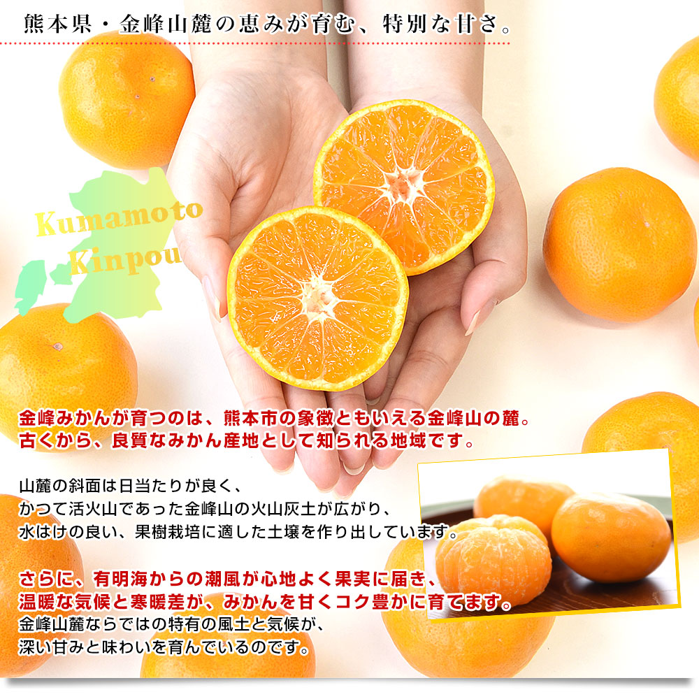 楽天市場】熊本県産 金峰柑橘共同組合 金峰みかん 赤秀品 MからSサイズ