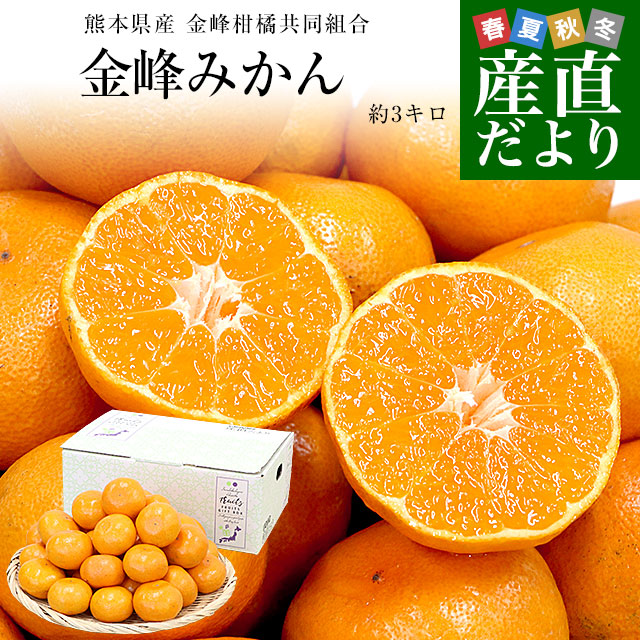 楽天市場】熊本県産 金峰柑橘共同組合 金峰みかん 赤秀品 MからSサイズ