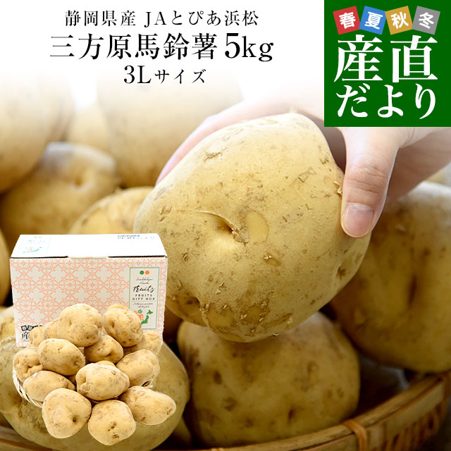 楽天市場】静岡県産 JAとぴあ浜松 三方原馬鈴薯 3Lサイズ 約5キロ（15