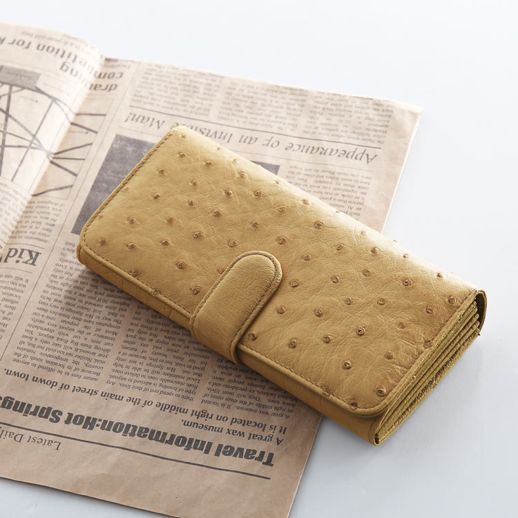 楽天市場】かぶせ長財布 レディース オーストリッチ 本革 大容量 財布