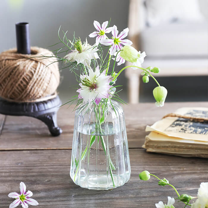 【専用出品】白梅の一輪挿し【Grace】 純米吟醸仕込 白老梅 500ml | 澤田酒造