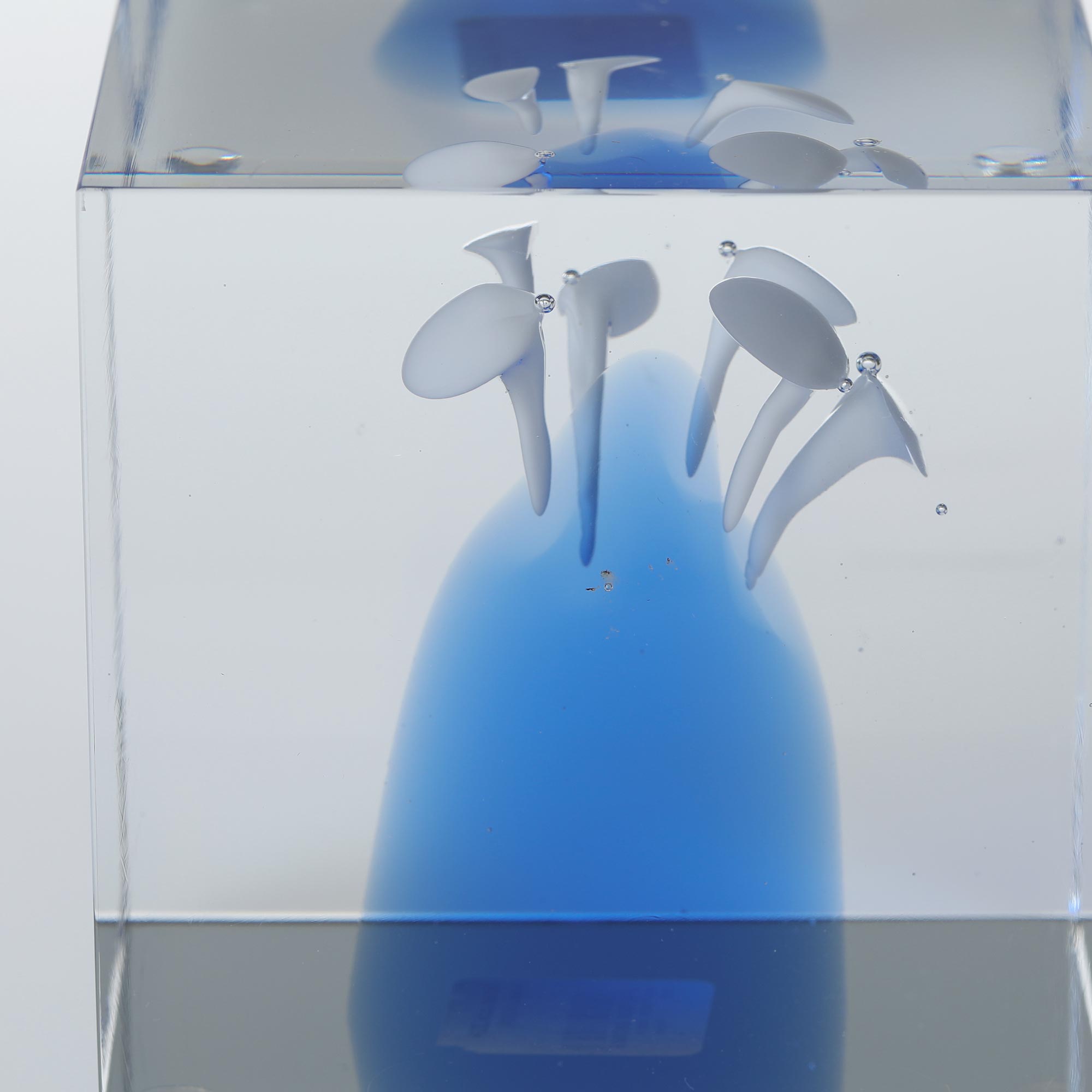 楽天市場】【No.273】イッタラ / アニュアルキューブ 2024 [iittala