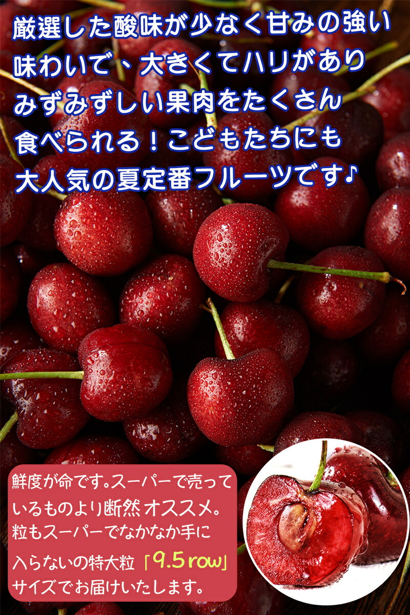 楽天市場】【スーパーSALE】アメリカンチェリー 大粒 9.5Row｜空輸直送