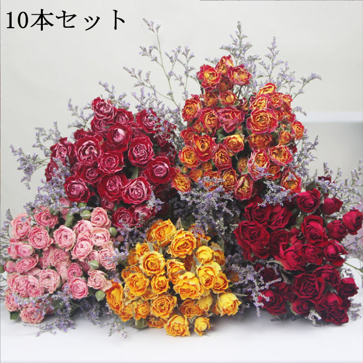 楽天市場】ドライフラワー バラ ドライバラ 10本 綺麗 花材 部屋飾り