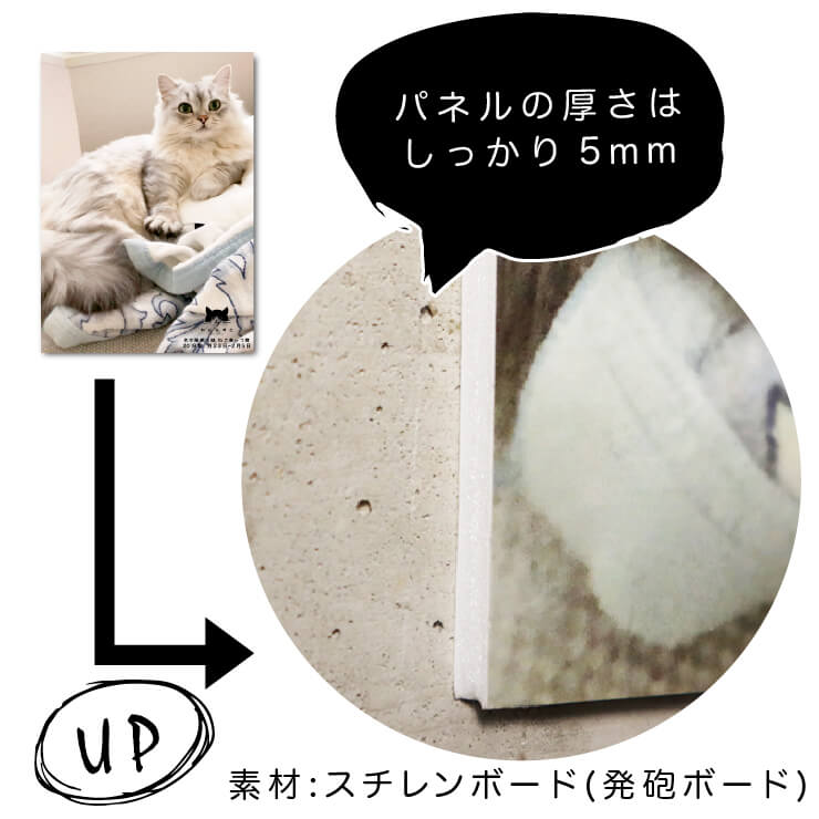楽天市場】ねこにすと / セミオーダーA4写真パネル / パネルが飾られた
