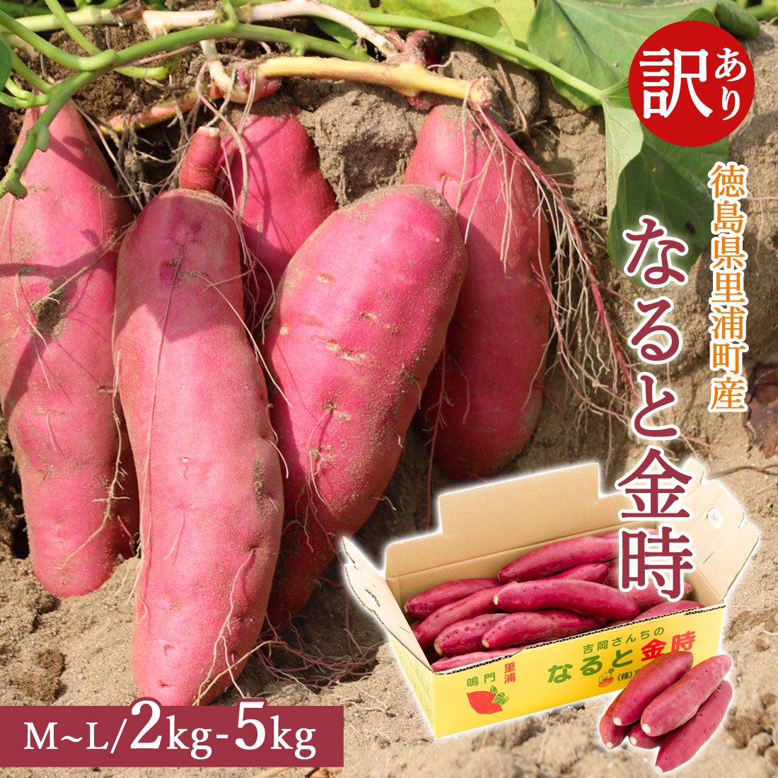 楽天市場】【産地直送】 訳あり さつま芋 鳴門金時 洗い 2kg 3kg 5kg