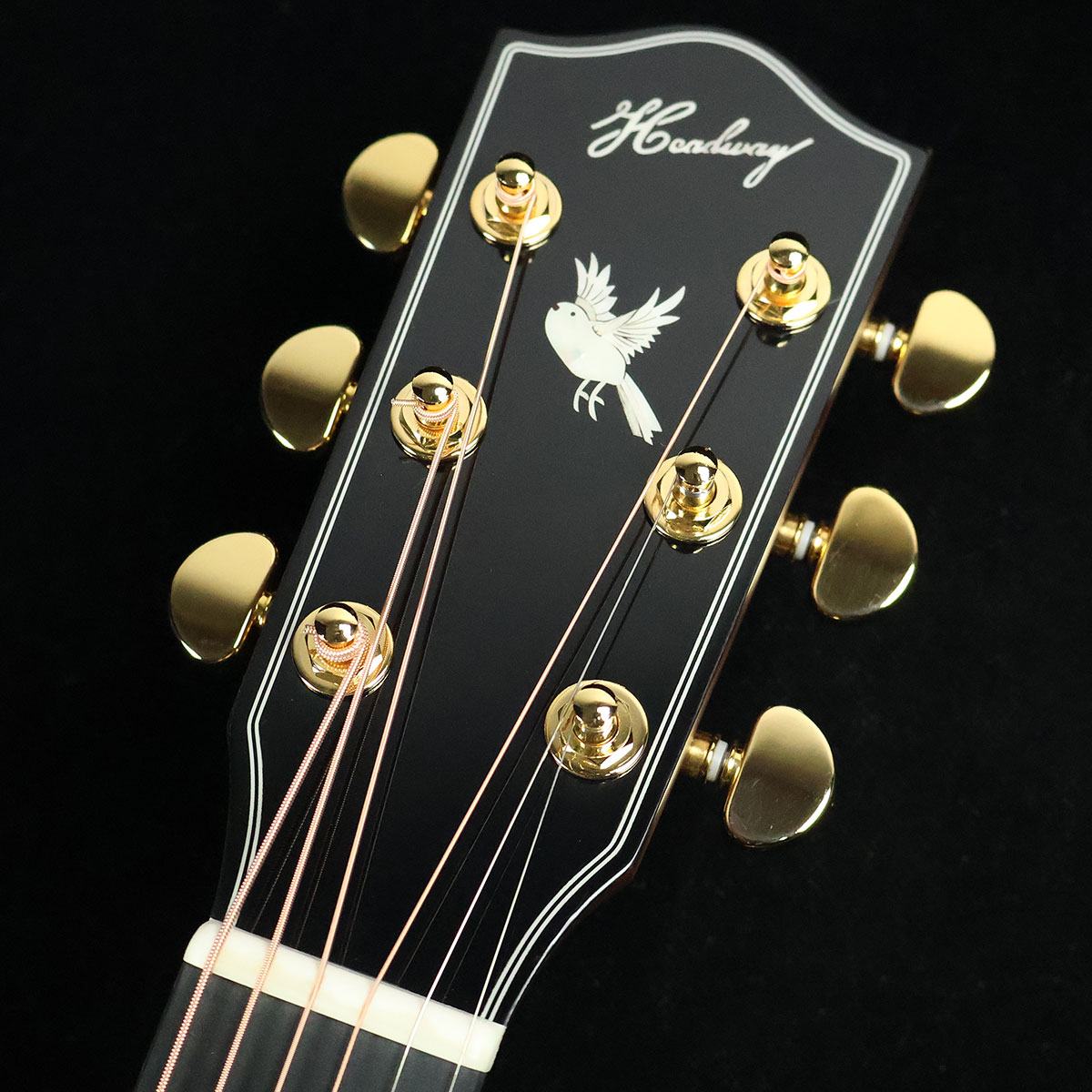 楽天市場】Headway HOC-NORTHBIRD アコースティックギター【まるやま