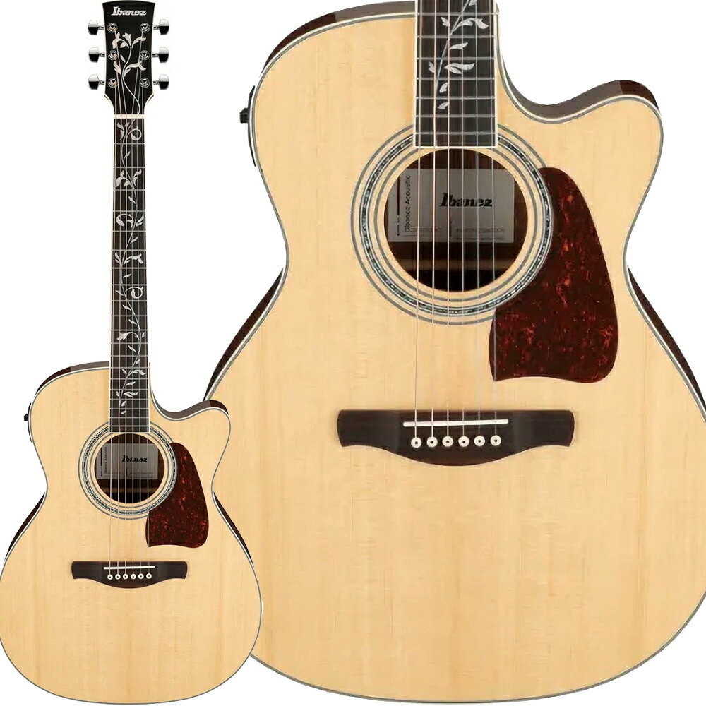 アイバニーズ Ibanez エレアコ」の人気商品一覧 | 安い商品を通販