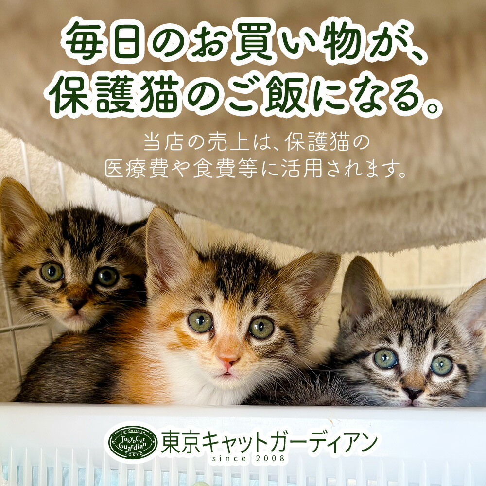 楽天市場】ochopi ポストカード 「白木蓮と黒猫」 【同梱A