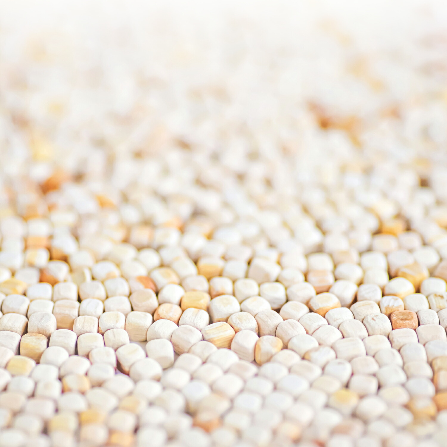 楽天市場】ひのき専門店の贈り物 土佐檜チップ ヒノキチップ 消臭