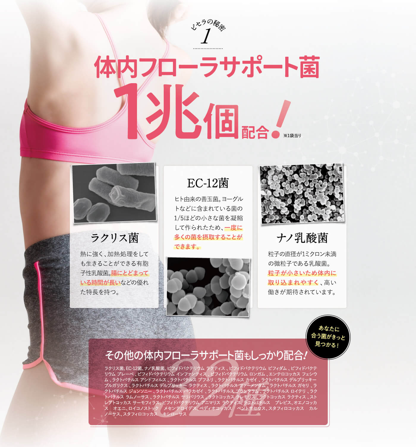 楽天市場】【公式】 ビセラ 3袋セット BISERA 30粒 ダイエット 乳酸菌