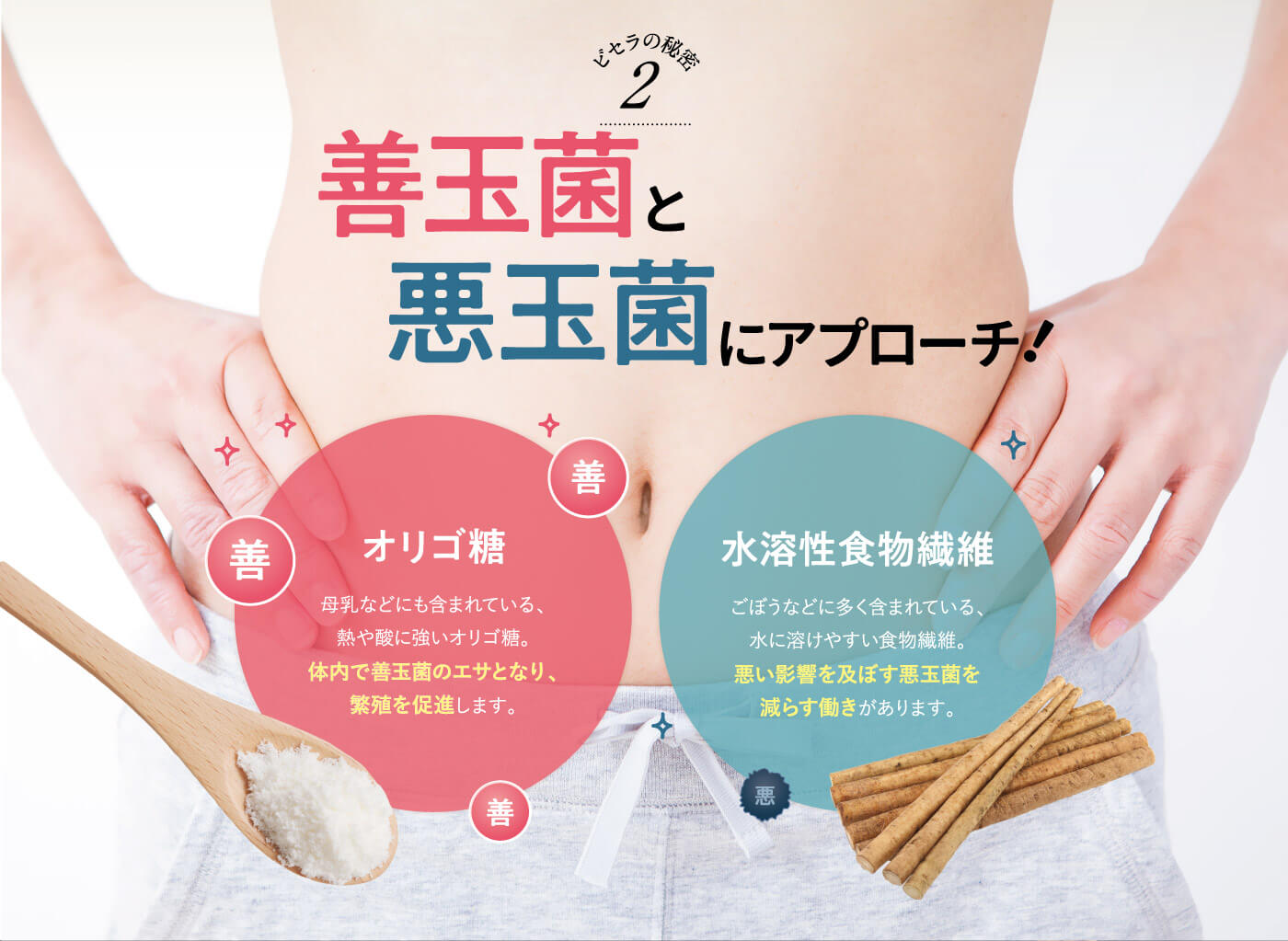 楽天市場】【公式】 ビセラ BISERA 30粒 ダイエット びせら 乳酸菌 腸