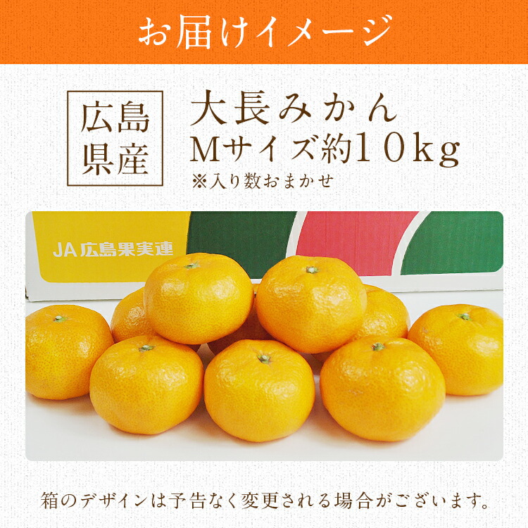 楽天市場】みかん 10kg 大長みかん 広島県産 Mサイズ お歳暮 ギフト