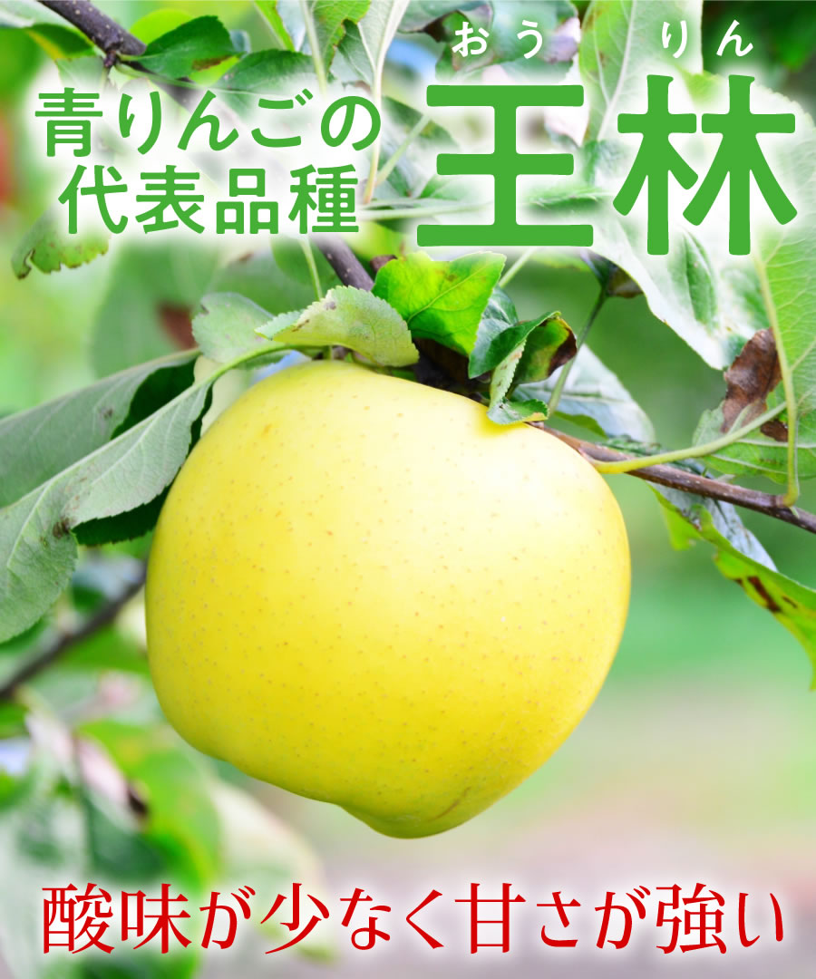楽天市場】【リンゴ苗木】【2年生苗】王林（おうりん） 高さ70cm〜1.0m