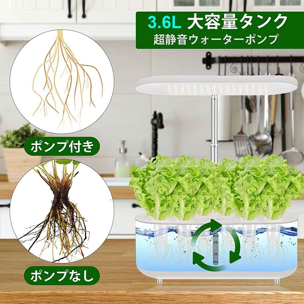 楽天市場】水耕栽培キット 室内 すいこう栽培キット 室内 水耕栽培