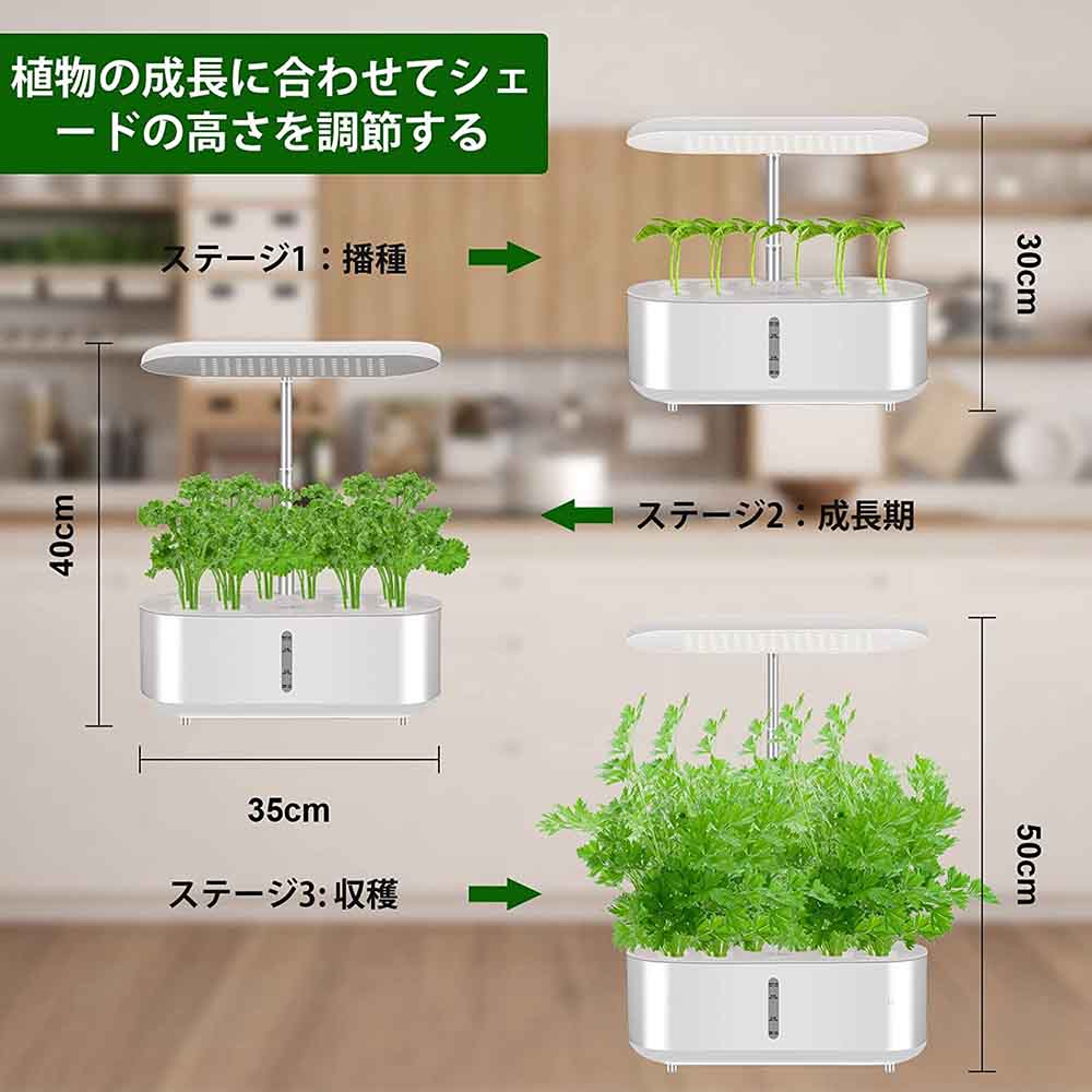 楽天市場】水耕栽培キット 室内 すいこう栽培キット 室内 水耕栽培