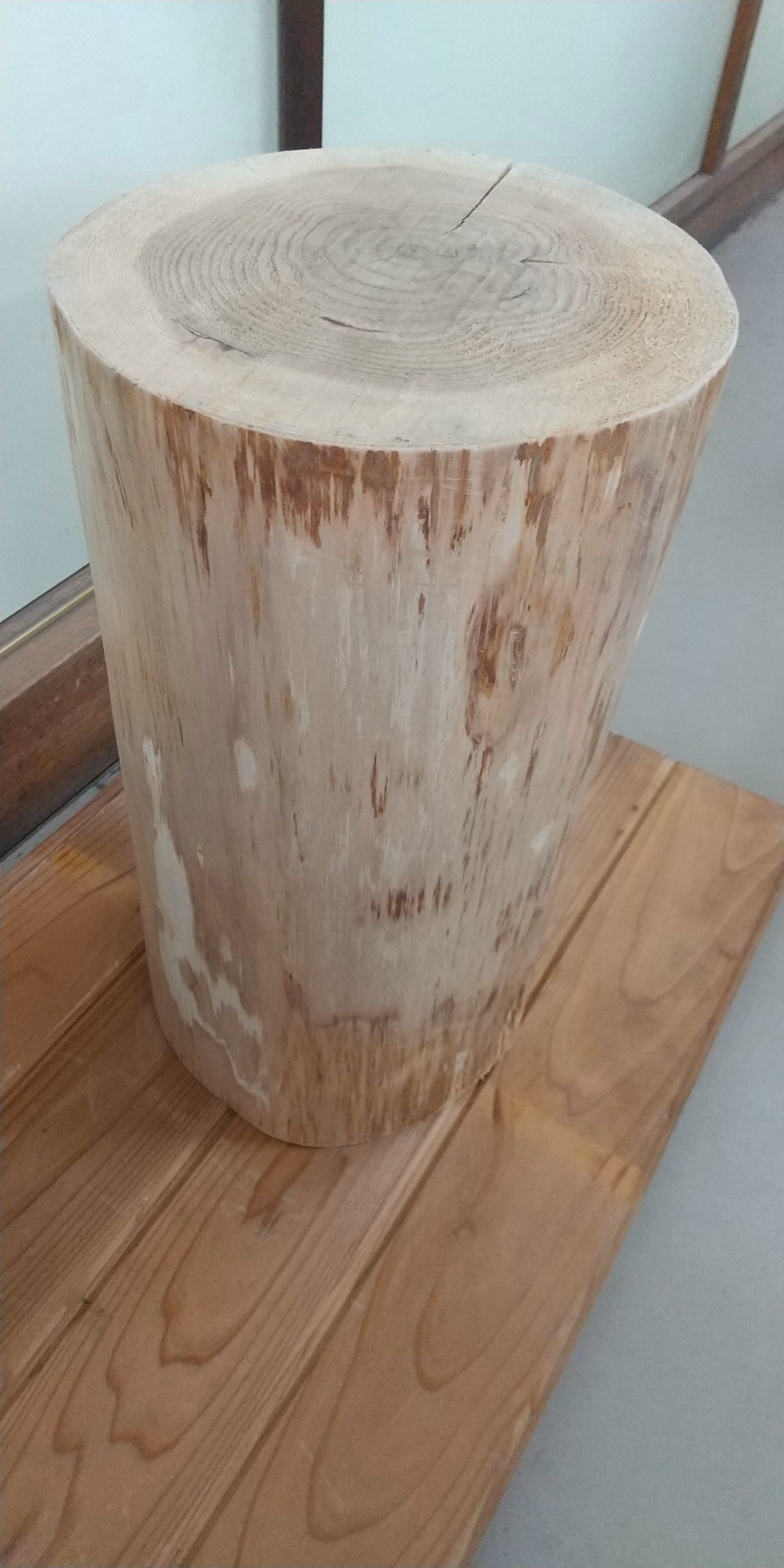 楽天市場】切り株 杉 丸太 スツール 国産 皮なし 製材機カット 断面