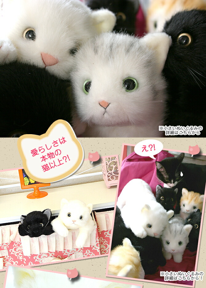 楽天市場】【N303】日本製ぬいぐるみ 猫 まるで本物みたいなリアルな