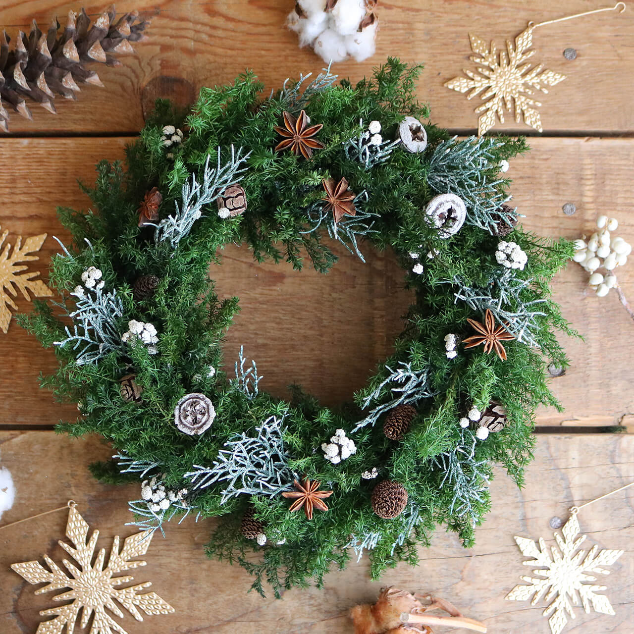 楽天市場】スターアニスと木の実の針葉樹リース ◇ プリザーブド
