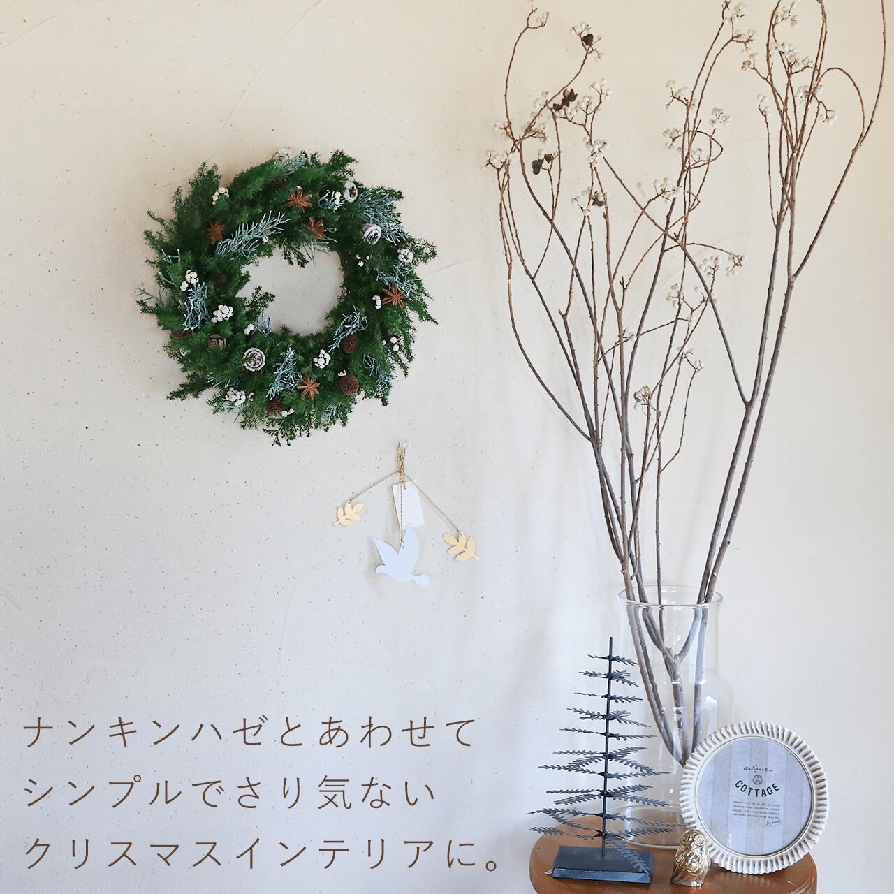 楽天市場】スターアニスと木の実の針葉樹リース ◇ プリザーブド